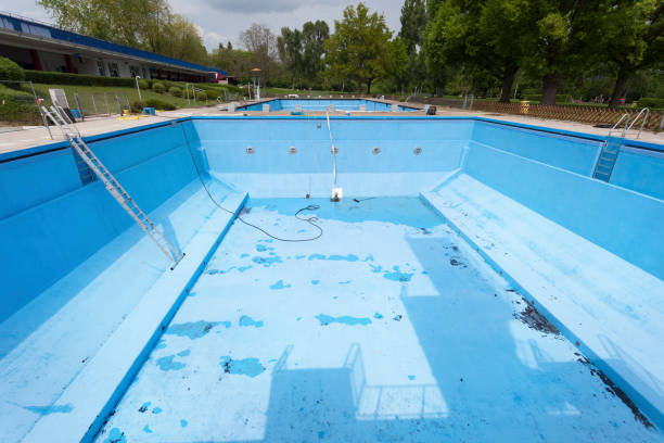 Best Flood damage cleanup  in Norwood, NC