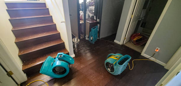 Best Basement water damage restoration  in Norwood, NC
