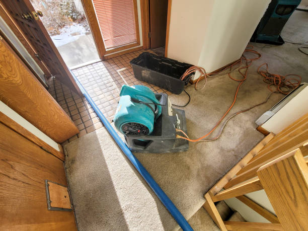 Best Flood damage cleanup  in Norwood, NC