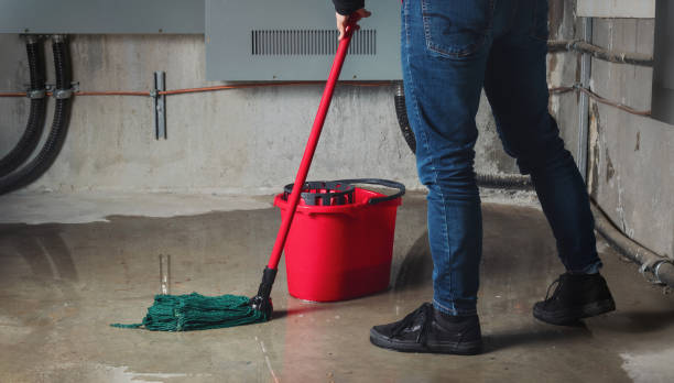 Best Flooded house restoration  in Norwood, NC