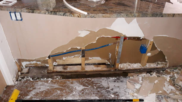 Best Water damage restoration near me  in Norwood, NC