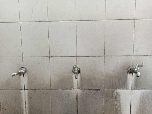 Best Water damage restoration near me  in Norwood, NC
